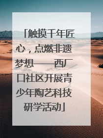 触摸千年匠心，点燃非遗梦想——西厂口社区开展青少年陶艺科技研学活动