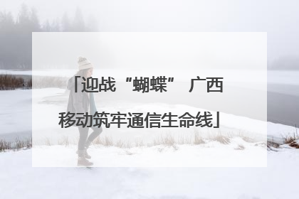 迎战“蝴蝶” 广西移动筑牢通信生命线