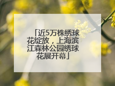 近5万株绣球花绽放，上海滨江森林公园绣球花展开幕