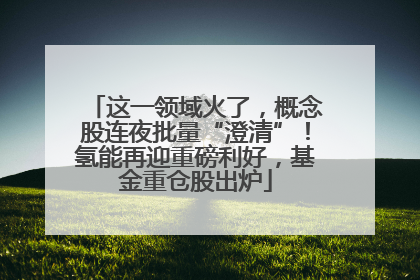 这一领域火了，概念股连夜批量“澄清”！氢能再迎重磅利好，基金重仓股出炉