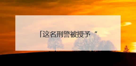 这名刑警被授予“全国公安系统二级英雄模范”称号！