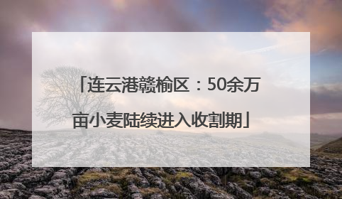 连云港赣榆区：50余万亩小麦陆续进入收割期
