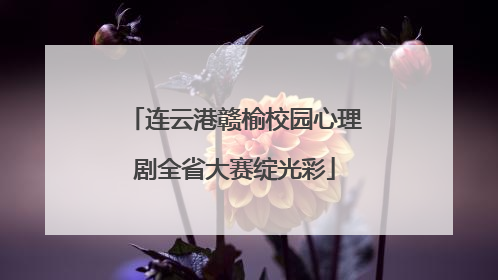 连云港赣榆校园心理剧全省大赛绽光彩