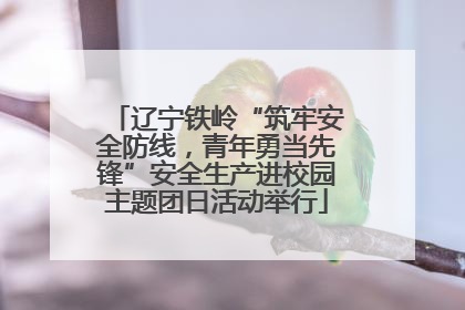 辽宁铁岭“筑牢安全防线，青年勇当先锋”安全生产进校园主题团日活动举行