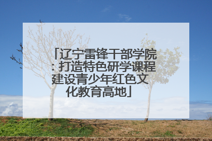 辽宁雷锋干部学院：打造特色研学课程 建设青少年红色文化教育高地
