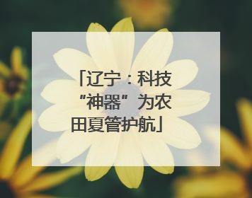 辽宁：科技“神器”为农田夏管护航