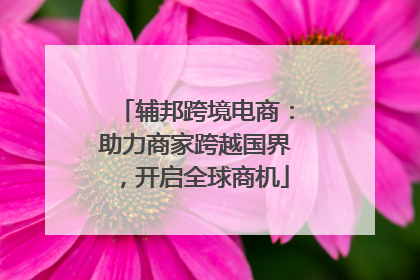 辅邦跨境电商：助力商家跨越国界，开启全球商机