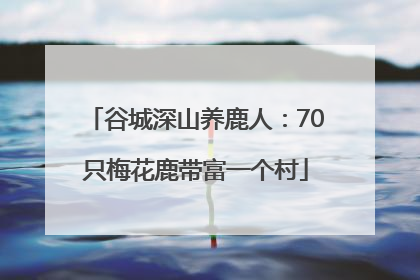 谷城深山养鹿人：70只梅花鹿带富一个村