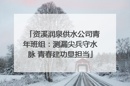 资溪润泉供水公司青年班组：测漏尖兵守水脉 青春建功显担当