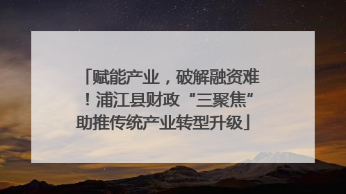 赋能产业，破解融资难！浦江县财政“三聚焦”助推传统产业转型升级