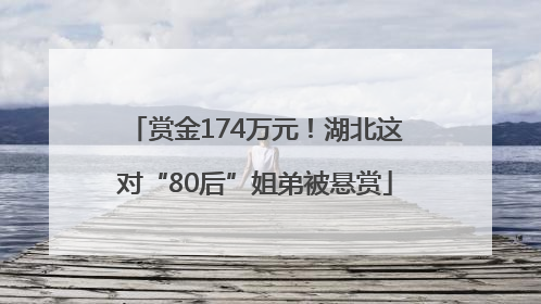 赏金174万元！湖北这对“80后”姐弟被悬赏