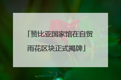 赞比亚国家馆在自贸雨花区块正式揭牌