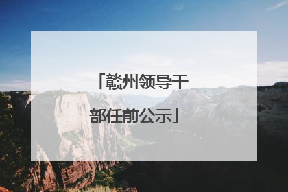 赣州领导干部任前公示
