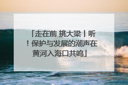 走在前 挑大梁丨听！保护与发展的潮声在黄河入海口共鸣