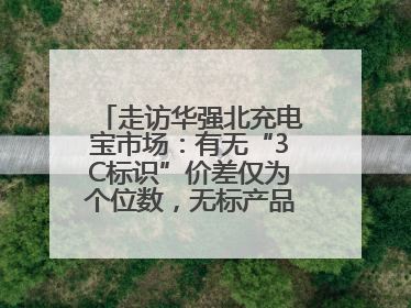 走访华强北充电宝市场：有无“3C标识”价差仅为个位数，无标产品仍在售