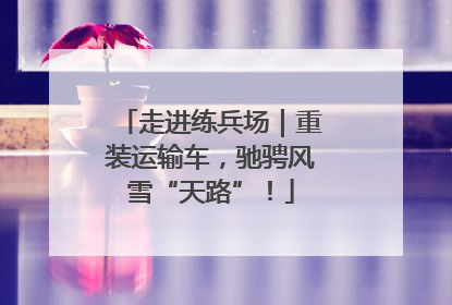 走进练兵场｜重装运输车，驰骋风雪“天路”！