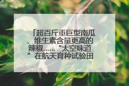 超百斤重巨型南瓜、维生素含量更高的辣椒……“太空味道”在航天育种试验田里拔节生长