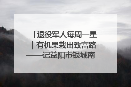 退役军人每周一星｜有机果栽出致富路——记益阳市银城南湖蔬果农民专业合作社总经理晏桂明