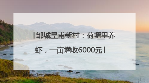 邹城皇甫新村：荷塘里养虾，一亩增收6000元