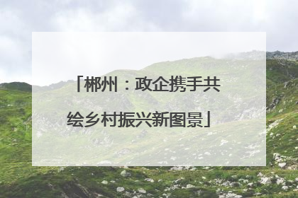 郴州：政企携手共绘乡村振兴新图景