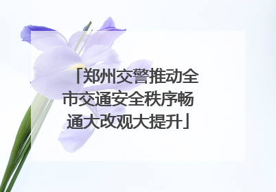 郑州交警推动全市交通安全秩序畅通大改观大提升