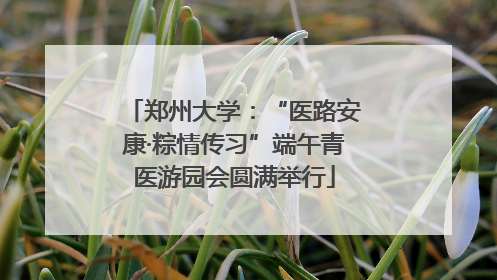 郑州大学：“医路安康·粽情传习”端午青医游园会圆满举行