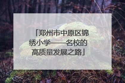 郑州市中原区锦绣小学——名校的高质量发展之路