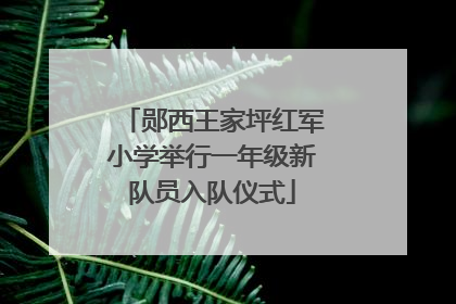 郧西王家坪红军小学举行一年级新队员入队仪式
