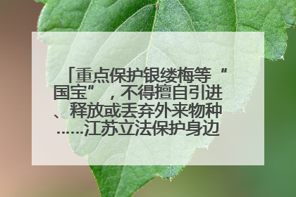 重点保护银缕梅等“国宝”，不得擅自引进、释放或丢弃外来物种……江苏立法保护身边的生物“朋友圈”