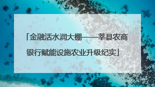 金融活水润大棚——莘县农商银行赋能设施农业升级纪实