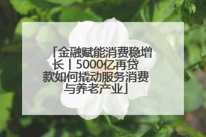 金融赋能消费稳增长丨5000亿再贷款如何撬动服务消费与养老产业