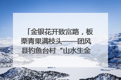金银花开致富路，板栗青果满枝头——团风县钓鱼台村“山水生金”谱写共富新篇章