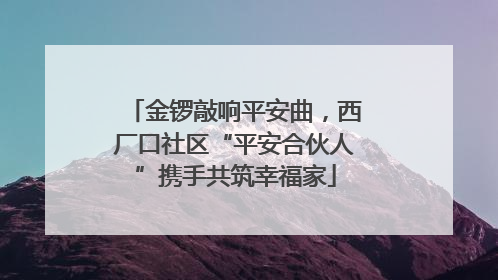 金锣敲响平安曲，西厂口社区“平安合伙人”携手共筑幸福家