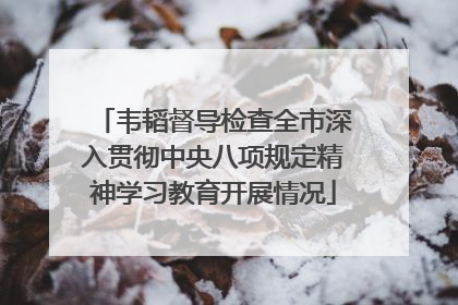 韦韬督导检查全市深入贯彻中央八项规定精神学习教育开展情况