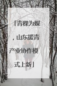 青稞为媒，山东援青产业协作模式上新