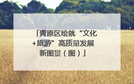 青原区绘就“文化+旅游”高质量发展新图景（图）