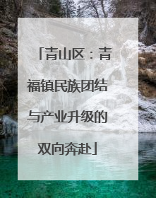 青山区：青福镇民族团结与产业升级的双向奔赴