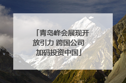 青岛峰会展现开放引力 跨国公司加码投资中国