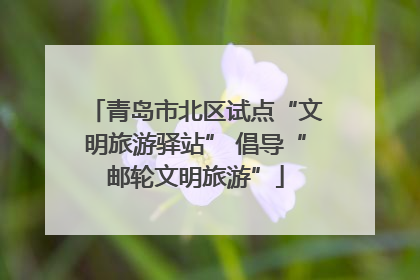 青岛市北区试点“文明旅游驿站” 倡导“邮轮文明旅游”