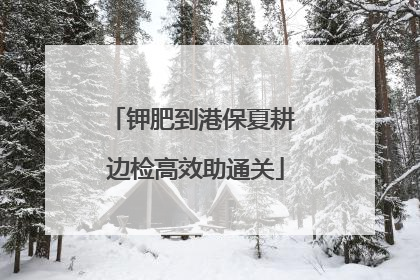 钾肥到港保夏耕 边检高效助通关
