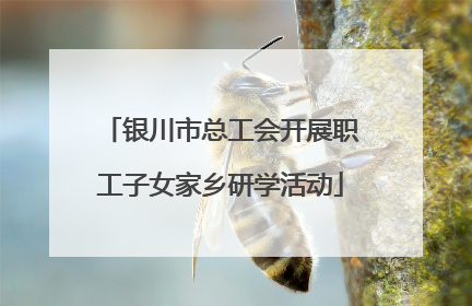 银川市总工会开展职工子女家乡研学活动