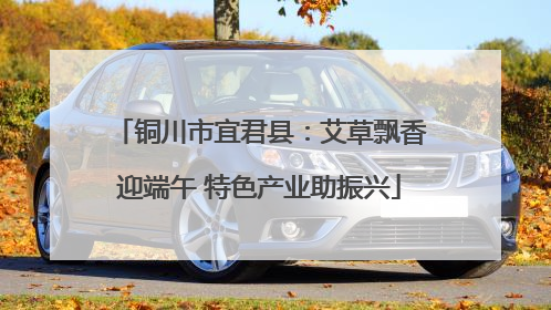 铜川市宜君县：艾草飘香迎端午 特色产业助振兴