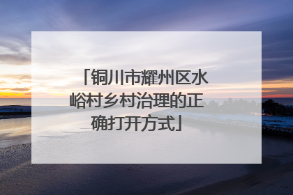 铜川市耀州区水峪村乡村治理的正确打开方式