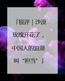 锐评｜沙漠玫瑰开花了，中国人的浪漫叫“担当”