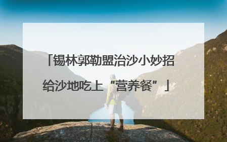 锡林郭勒盟治沙小妙招 给沙地吃上“营养餐”