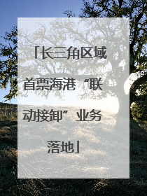 长三角区域首票海港“联动接卸”业务落地