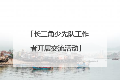 长三角少先队工作者开展交流活动