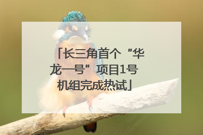 长三角首个“华龙一号”项目1号机组完成热试