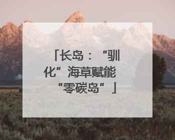 长岛：“驯化”海草赋能“零碳岛”