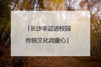 长沙非遗进校园 传统文化润童心